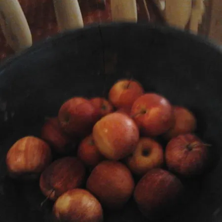 Pedretti Szálloda 3*