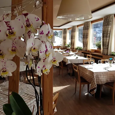 Pedretti Hotel Branzi