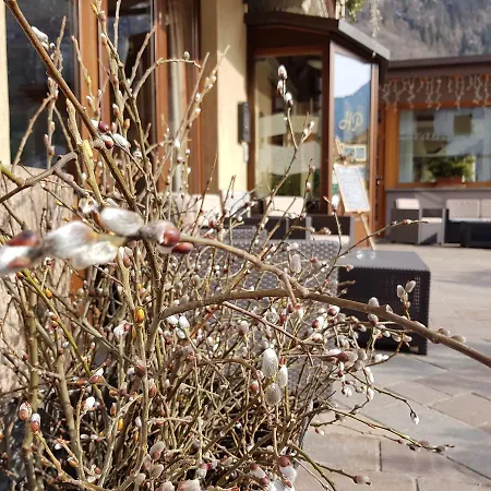 Hotel Pedretti